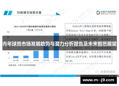 青年球员市场发展趋势与潜力分析报告及未来前景展望