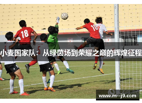 小麦国家队：从绿茵场到荣耀之巅的辉煌征程