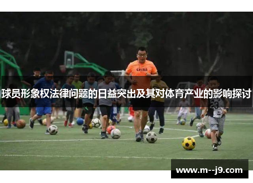球员形象权法律问题的日益突出及其对体育产业的影响探讨