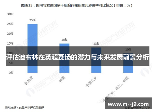 评估迪布林在英超赛场的潜力与未来发展前景分析